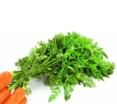 Carrot Tops