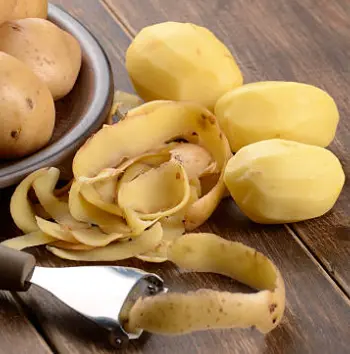 Potato Skins